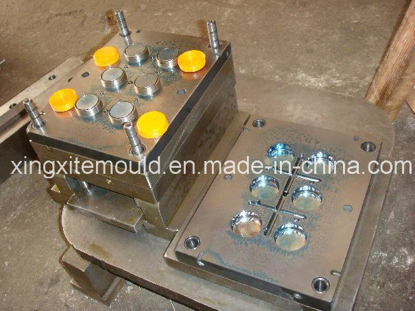 Plastic Cap Mould