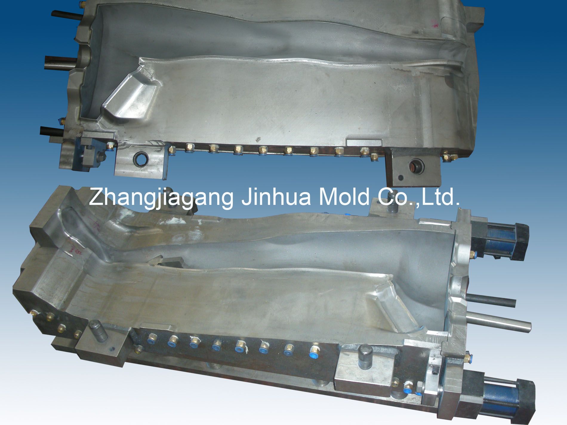 Human Body Model Blow Mold / Blow Mould / Plastic Mold (JH-V201)