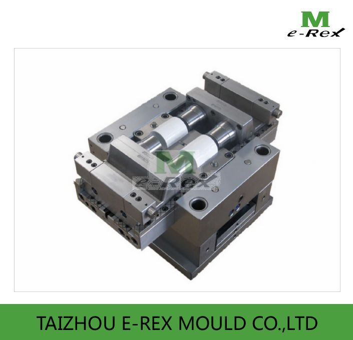 Plastic Injection PVC/ PPR/ PE Pipe Fitting Mould (E-REX0120)