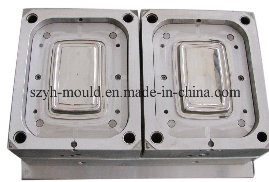 Plastic Thin Wall Multi Cavity Mould