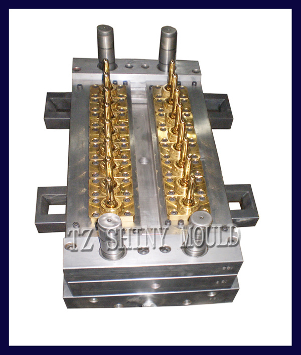 Preform Injection Mould