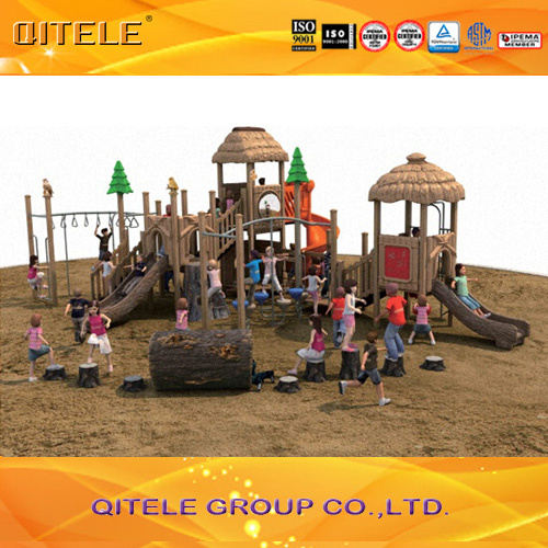 Plastic Wood Outdoor Children Playground for Amusement Park/School (2014NL-01201)