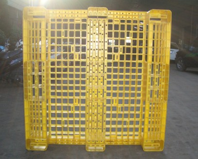 Pallet Mould -2