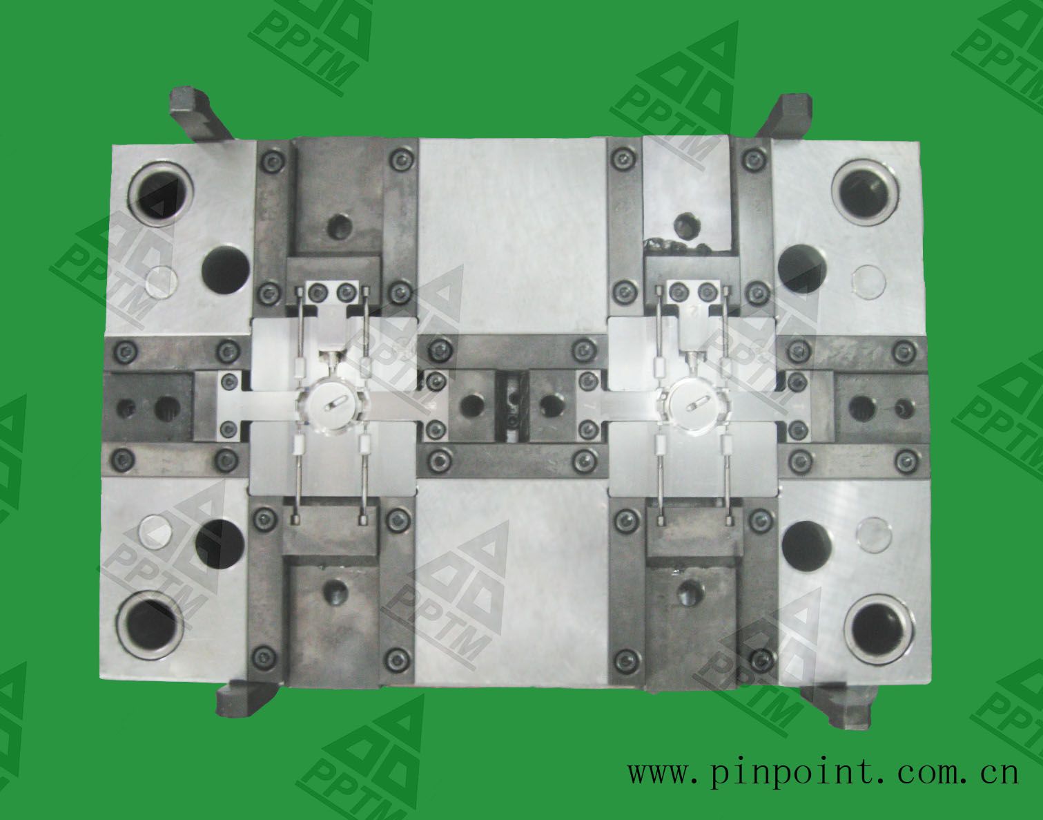Healthy Supplies Mould (025)