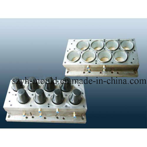 Plastic Thin Wall Multi Cavity Mould
