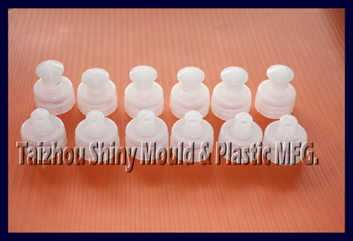 Push Pull Cap Mould, Push Pull Cap Injection Mold