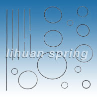 Oil Seal Spring