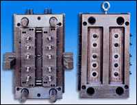 Mould Functioning One Delivery for Two Bottles