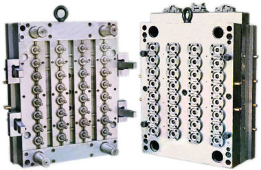 PET Preform Injection Mould