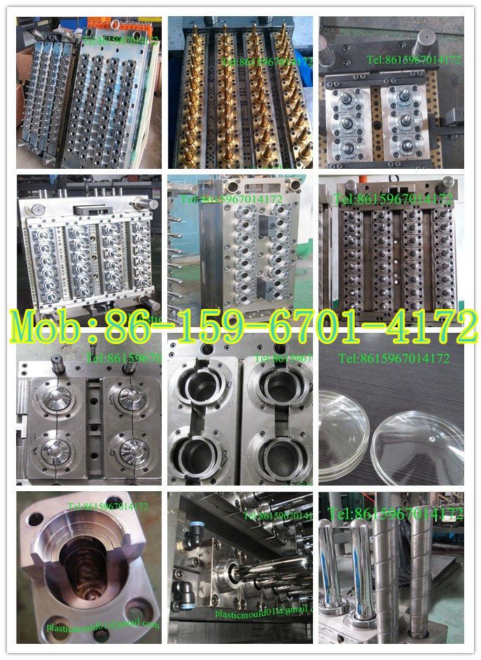 Pet Preform Injection Mould