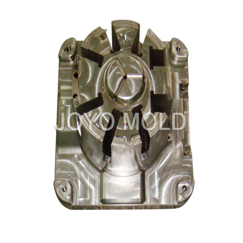 Mould (DSC05768)