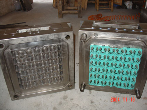 Plastic Injection Mold/Mould for Egg Tray