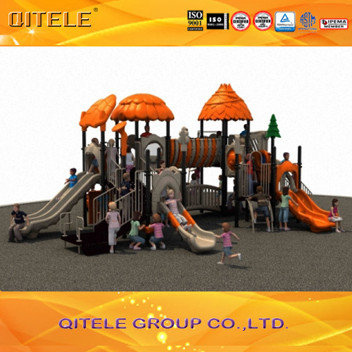 Children Outdoor Amusement Playground (2014WPII-09501)
