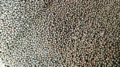 Floating Fish Food Making Machine