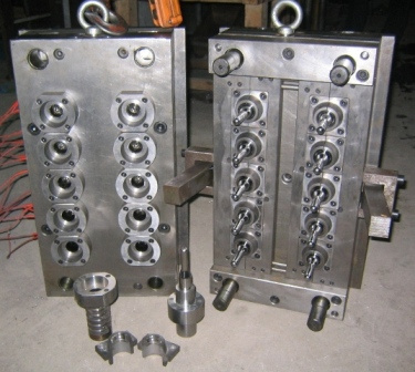 PET Preform Mould