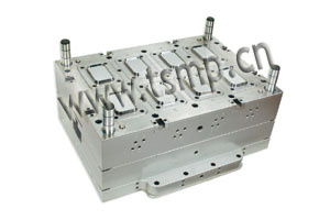 Thin Wall Packaging Molds (MS100901159)