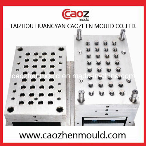 48 Cavity Plastic Fruit Cap Injection Mould