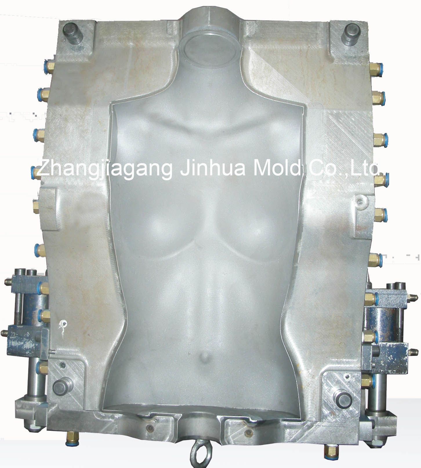Human Body Model Blow Mold / Blow Mould / Plastic Mold (JH-V201)