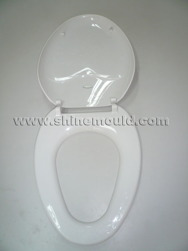 Toilet Mould