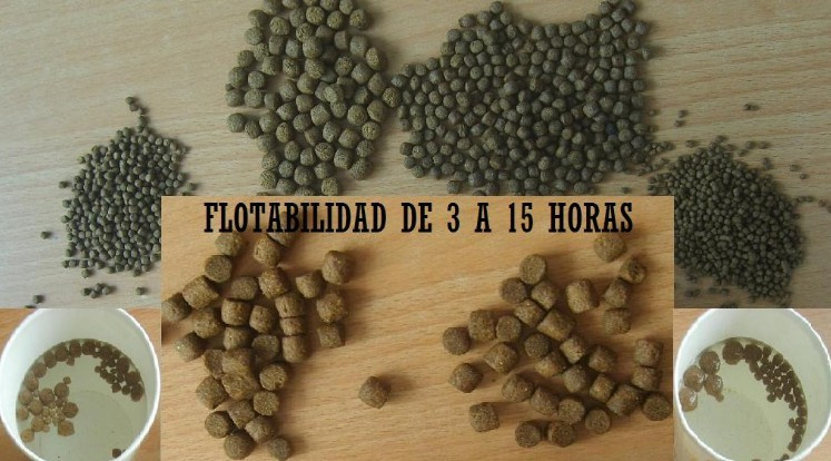 Tilapia Food Pellet Extruder Machine