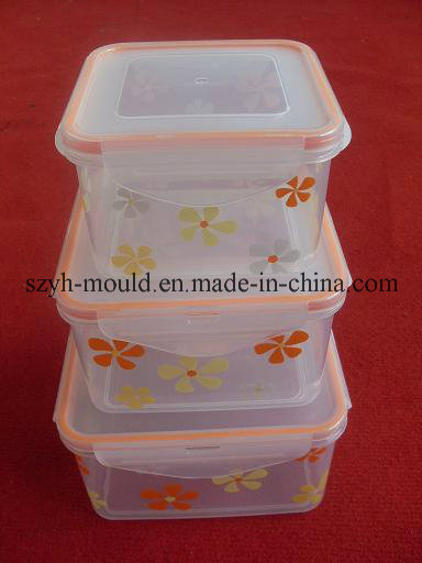 Plastic Thin Wall Multi Cavity Mould