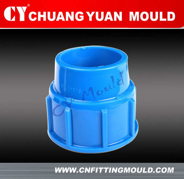PP End Cap Irrigation Fitting Tooling Mould