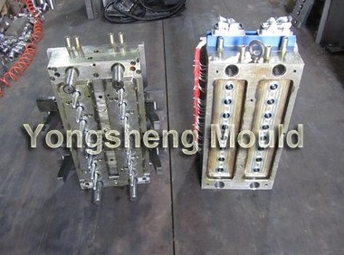 Plastic Injection Preform Mould (YS20)