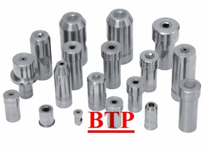 High Quality Punch Die (BTP-P085)