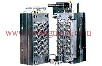 Pet Preform Mold