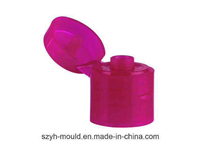 Cylindrical Flip Top Closure Mould 28/410