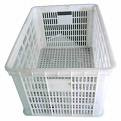 Crate Mould