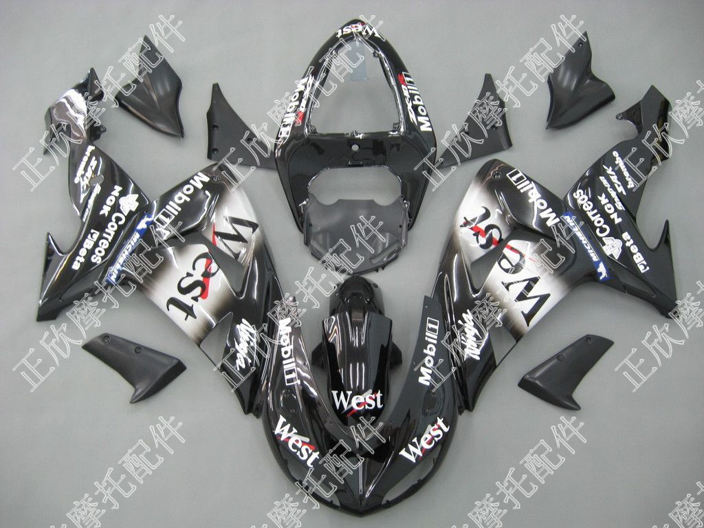 Motorcycle Fairing for Kawasaki (ZX-10R 06-07)