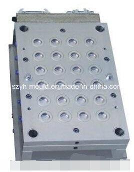 Plastic Packaging Multi Cavity Mould