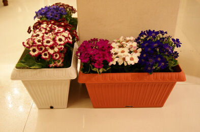 Self-Watering Flower Planter Bonsai Artificial/Ceramic Pot
