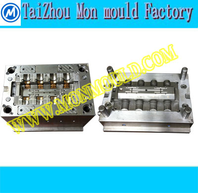 Plastic Injection Shroud Mould/Moulding Machine/Die Mould