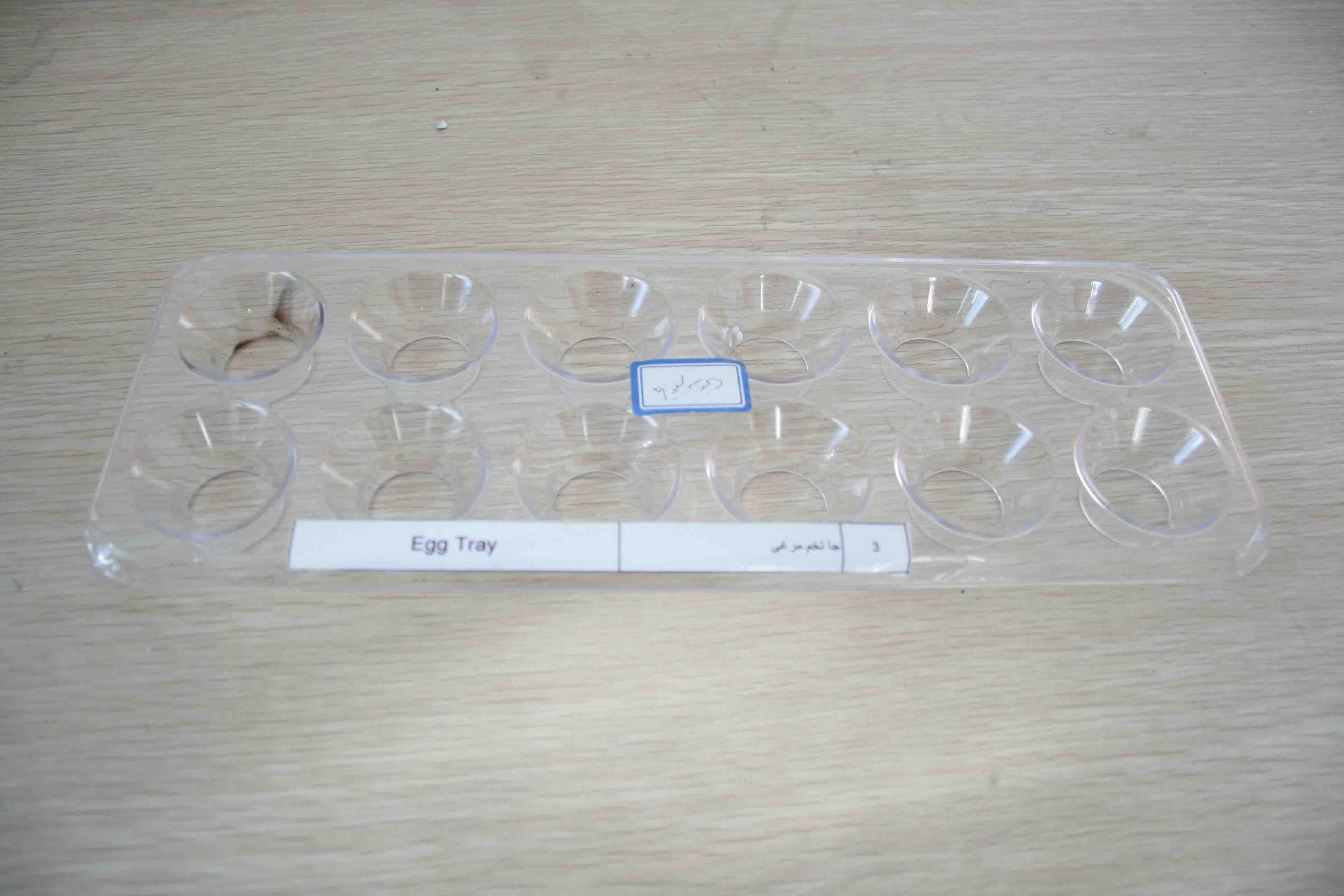 Egg Tray Mould