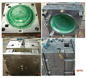 Mould (IMG_0042)