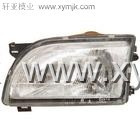 Plastic Auto Light Mould/Lamp Mold/Mould