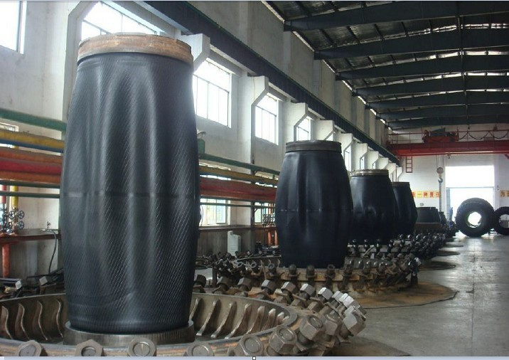 Vulcanization Tire Molds