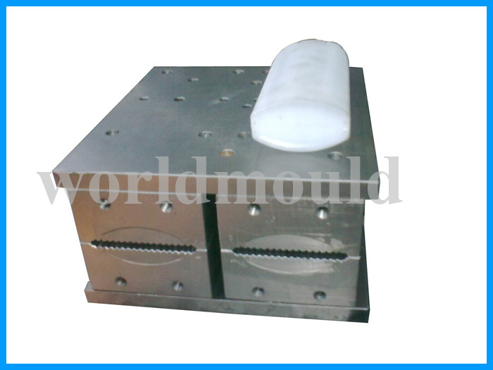 Plastic Blowing Bottle Mould