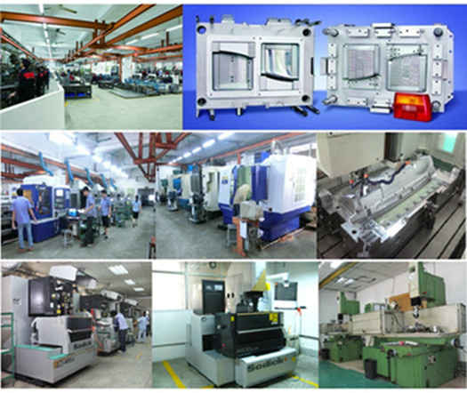 Custom Plastic Injection Mould