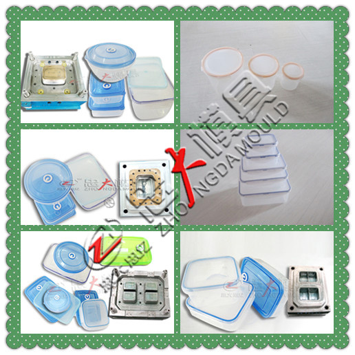 Plasitc Box Mould - 2