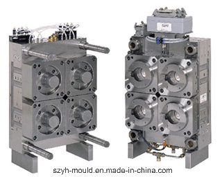 Plastic Thin Wall Multi Cavity Mould