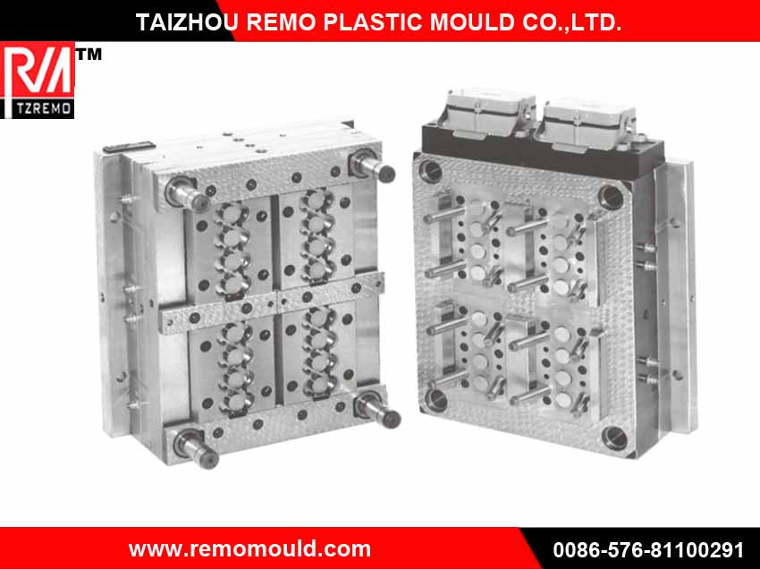 Preform Mold