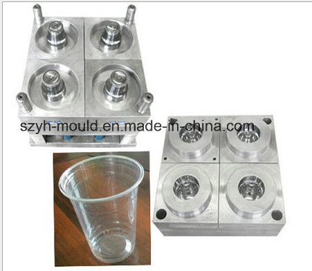 Thin Wall Multi Cavity Mould