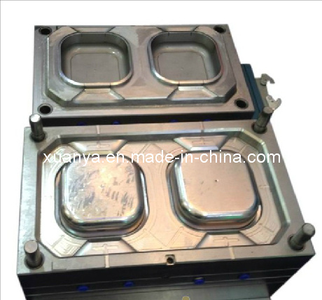 Plastic Injection Mould for Thin Wall