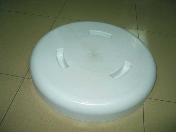 Mold (IMG_0021)