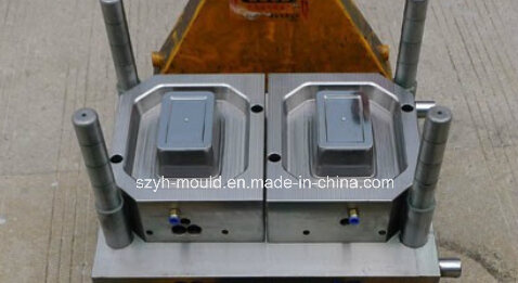 Thin Wall Multi Cavity Mould