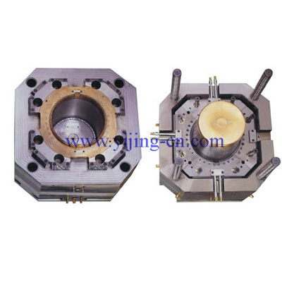 Professional Commodity Injection Mould (YJ-M087)