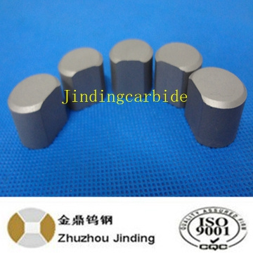 Tungsten Carbide Nail Mould